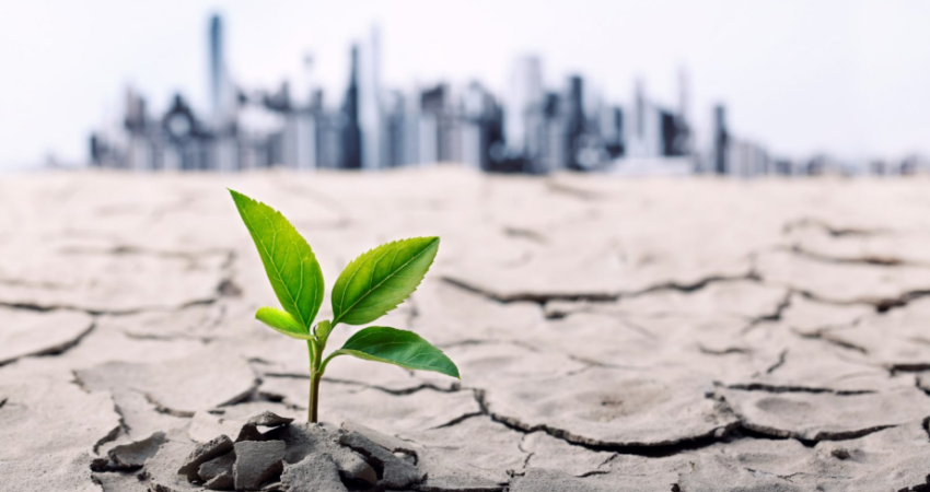 environmental risk assessment