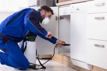 rodent control Murwillumbah