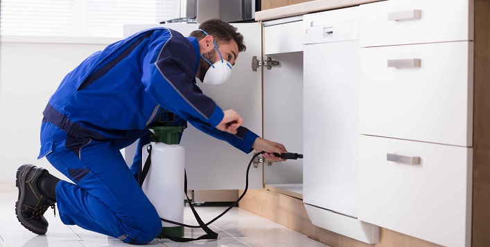 rodent control Murwillumbah