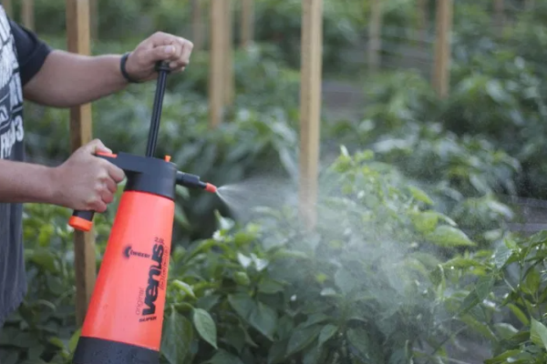 organic liquid fertilizer