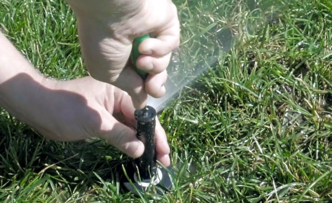 rain bird sprinkler heads