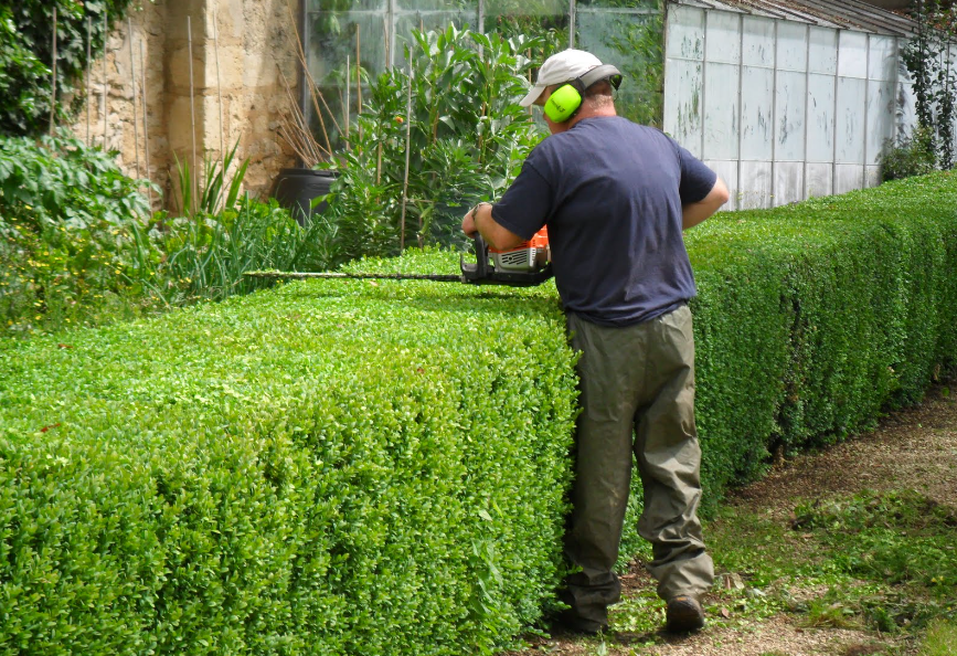 hedge-trimming services in Auckland