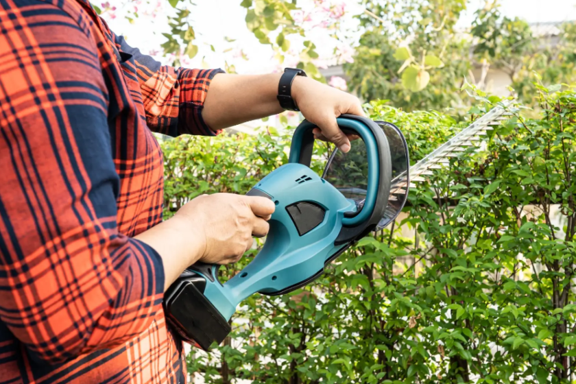 hedge-trimming services in Auckland
