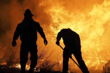 bushfire consultants