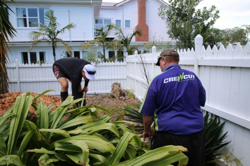 landscapers in Auckland