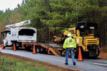 tree company in Tauranga.