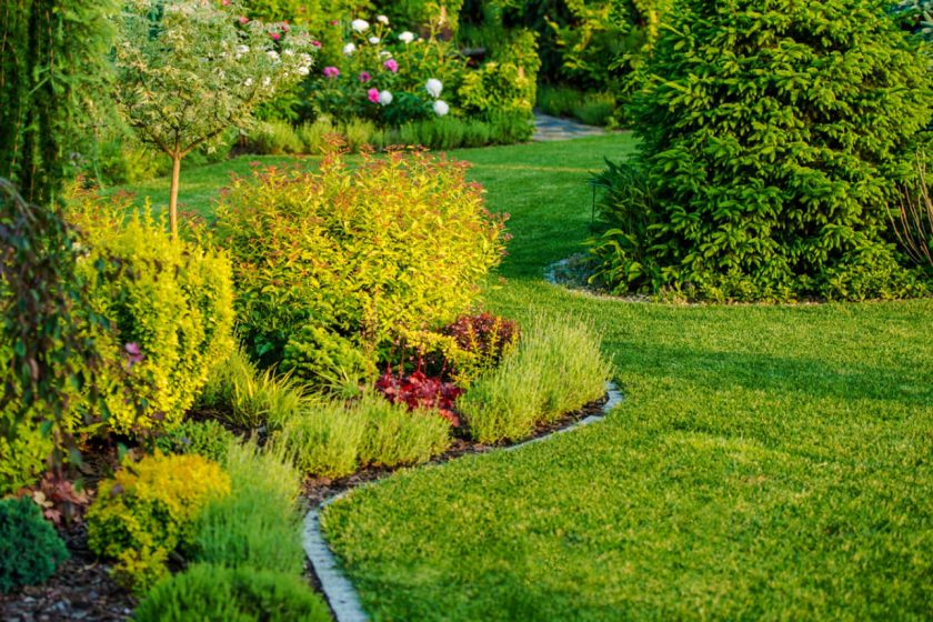 garden services near me