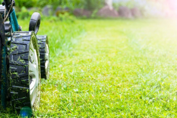Lawn mowing services in Takanini