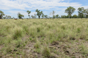 epbc self-assessment