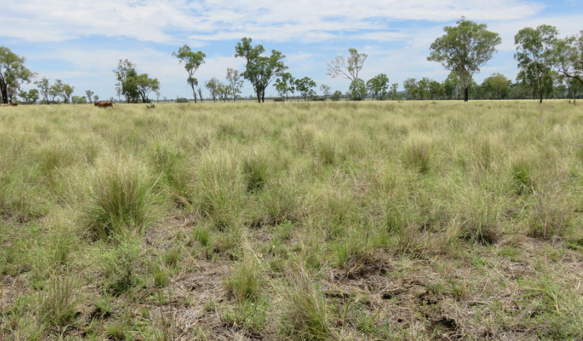 epbc self-assessment