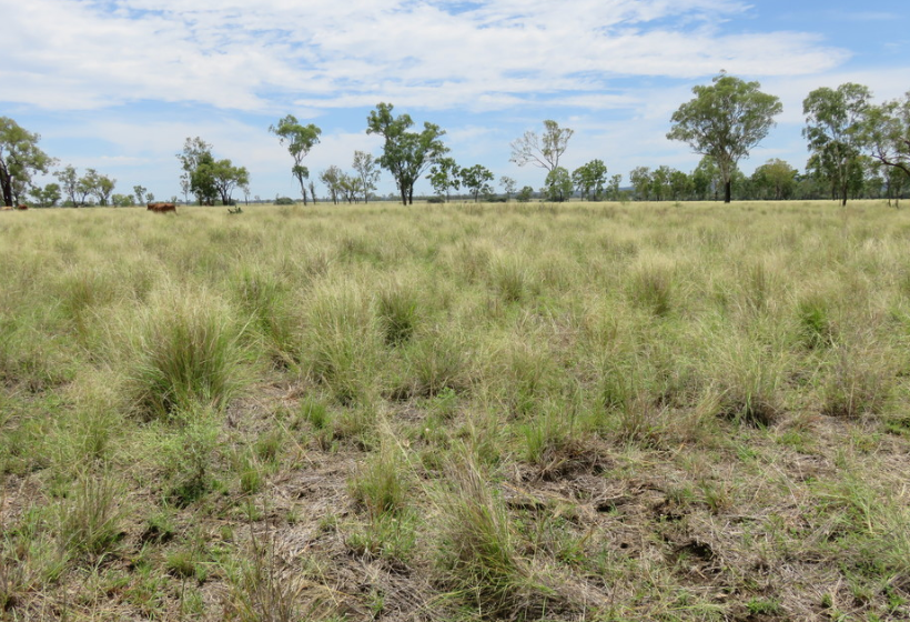 epbc self-assessment